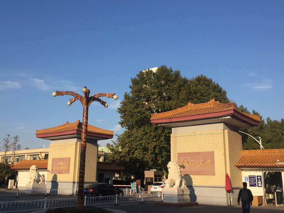 南京林业大学