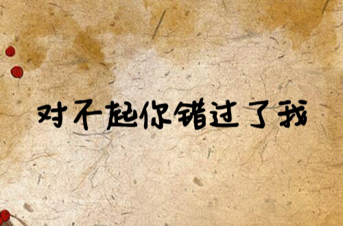 对不起你错过了我