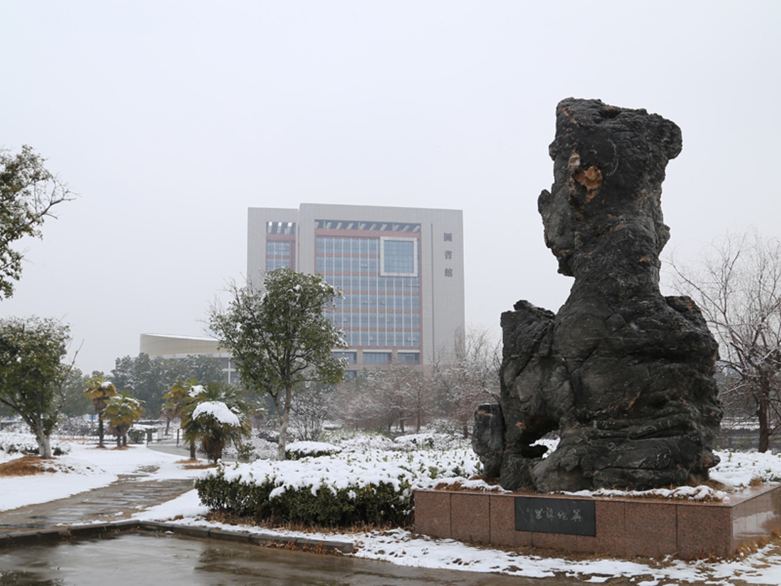 安徽医科高等专科学校