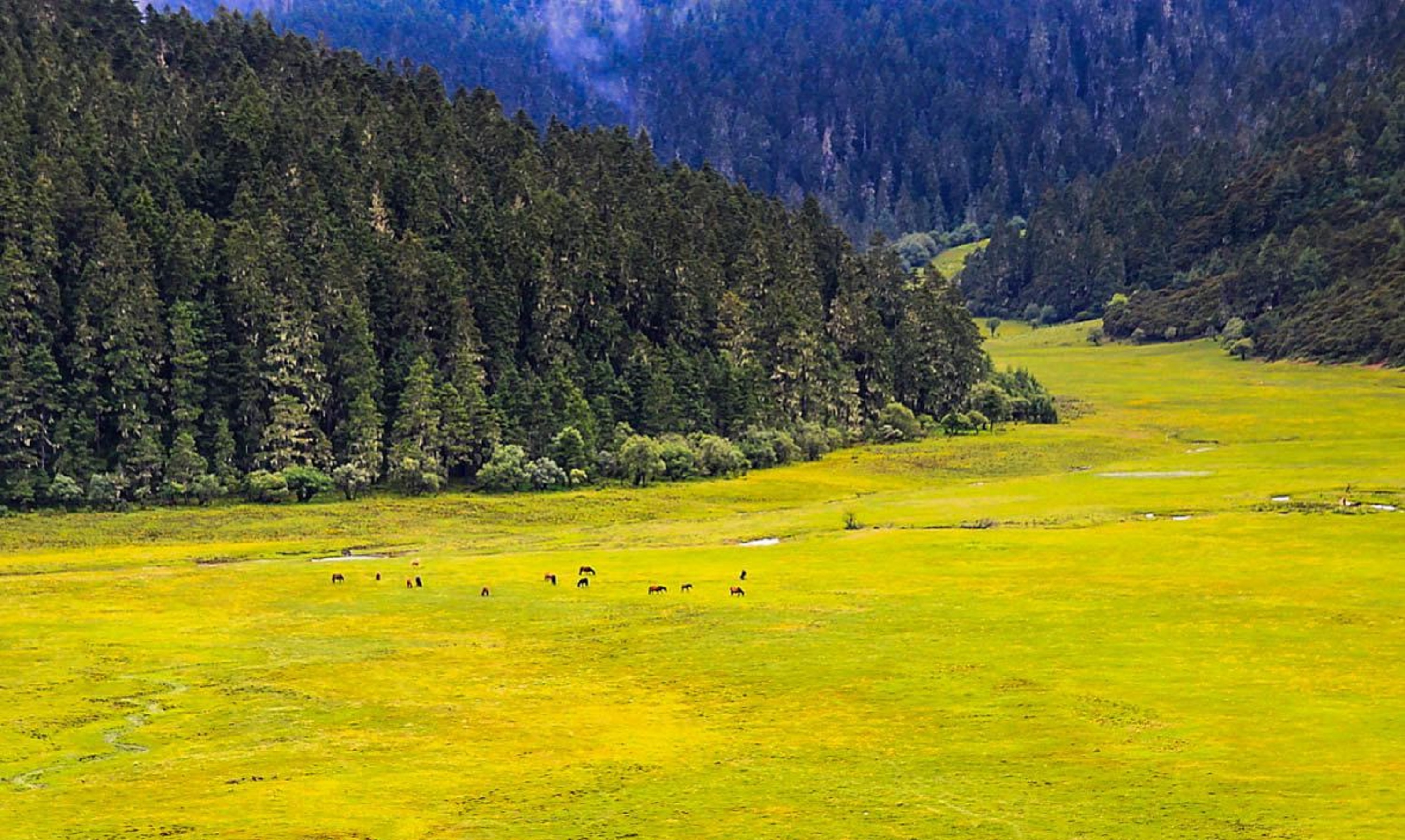 普达措国家公园