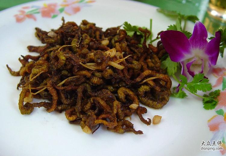 莲藕食根金花虫