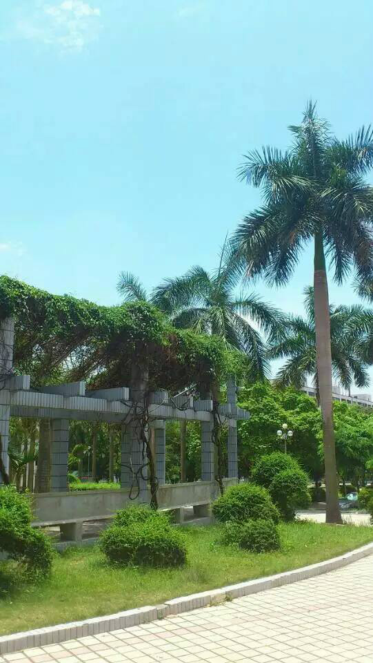  p>湛江艺术学校创建于1959年,始称"湛江专区艺术学校",1962年更名为"