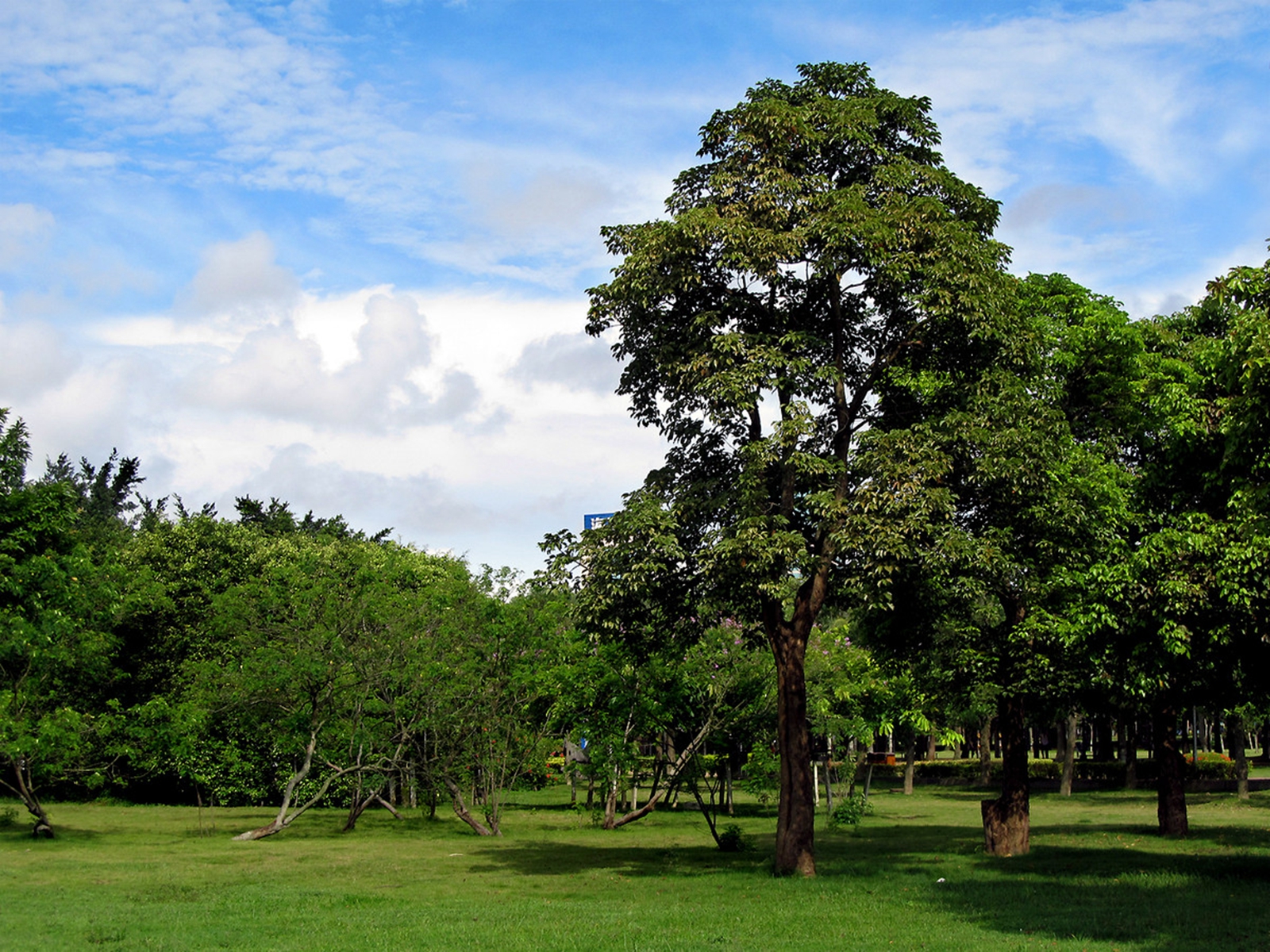  p>万绿园位于海南省 a target="_blank" href="/item/海口/5775"