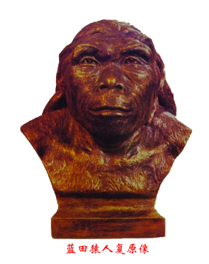 fauna)又称 a target="_blank" href="/item/蓝田猿人动物群">蓝田