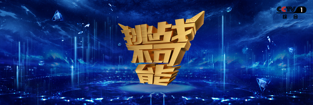 挑战不可能第四季