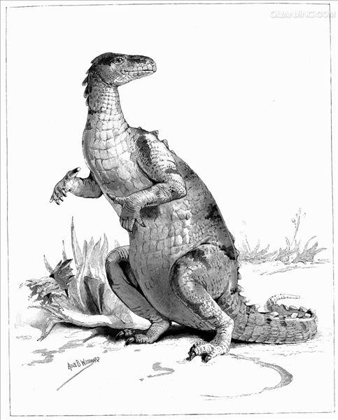 禽龙(iguanodon)