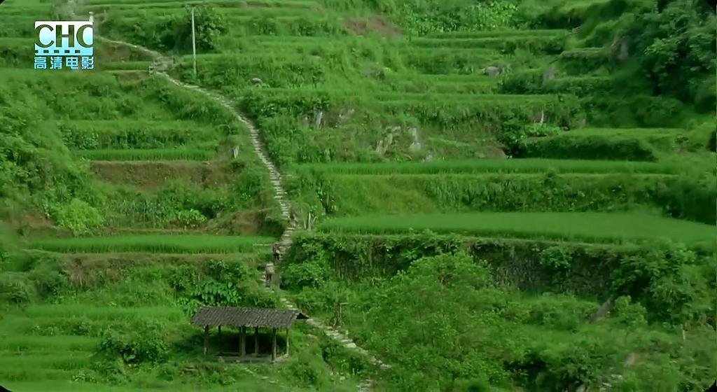 那山那人那狗