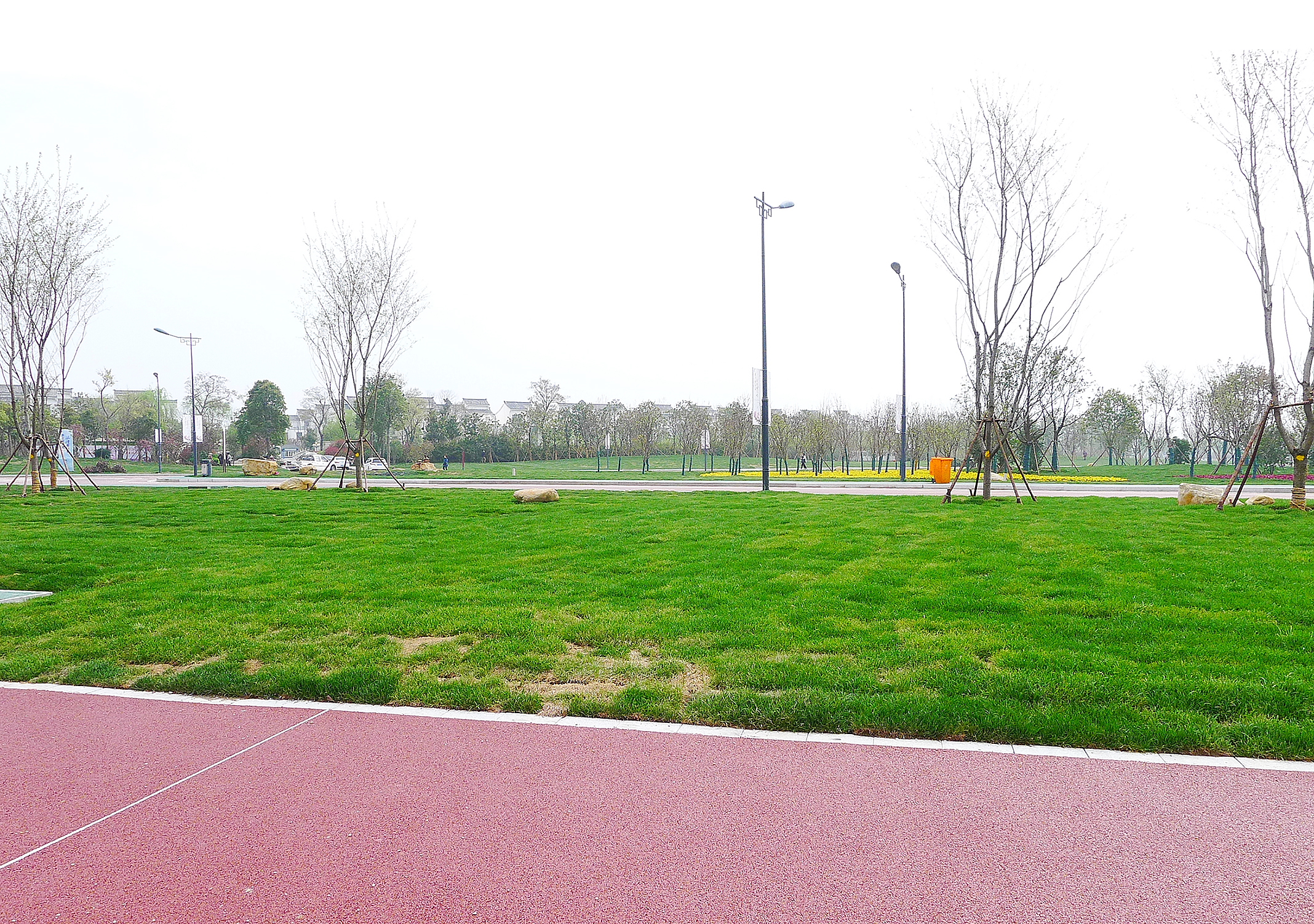 大洋湾湿地公园