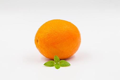 甜橙 实拍