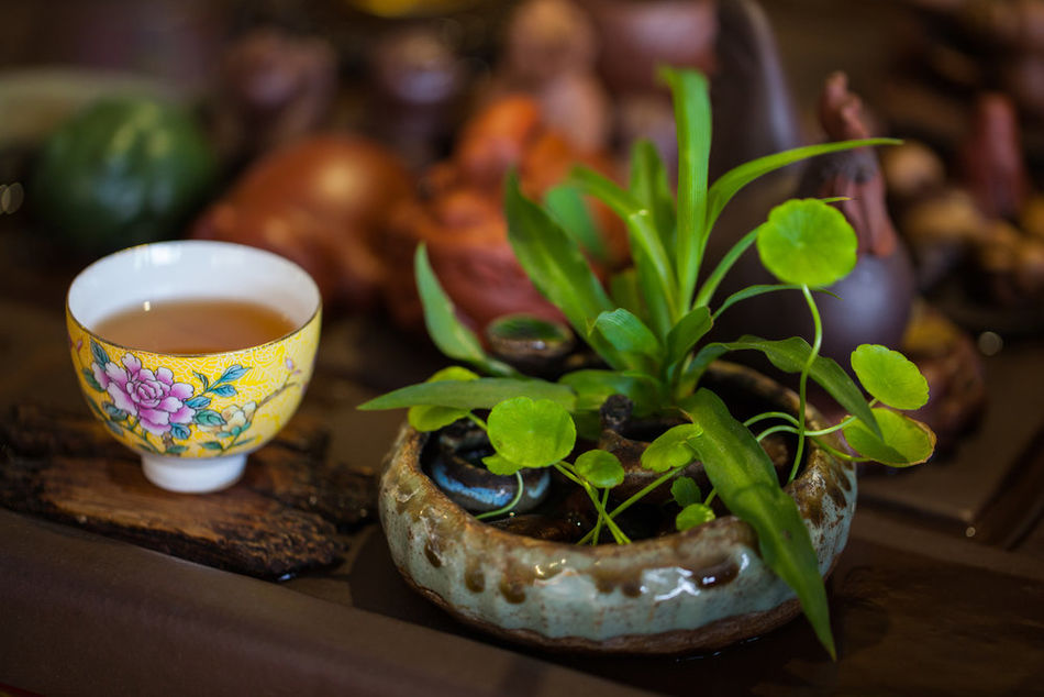  p data-id="gnbpmt1kpy">茶文化,禅文化,融成茶禅文化,是我中华民族