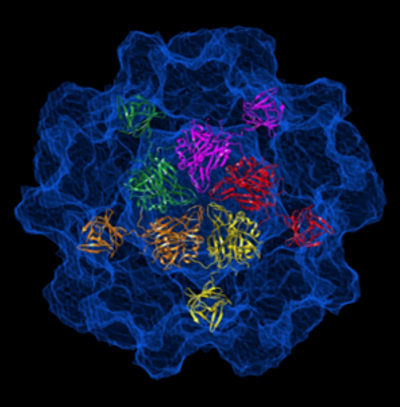  p> a href="#" data-lemmaid="8557242">戊型肝炎 /a>(hepatitis e )