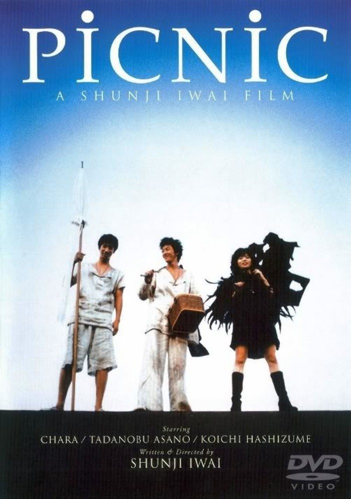 梦旅人picnic(1996)
