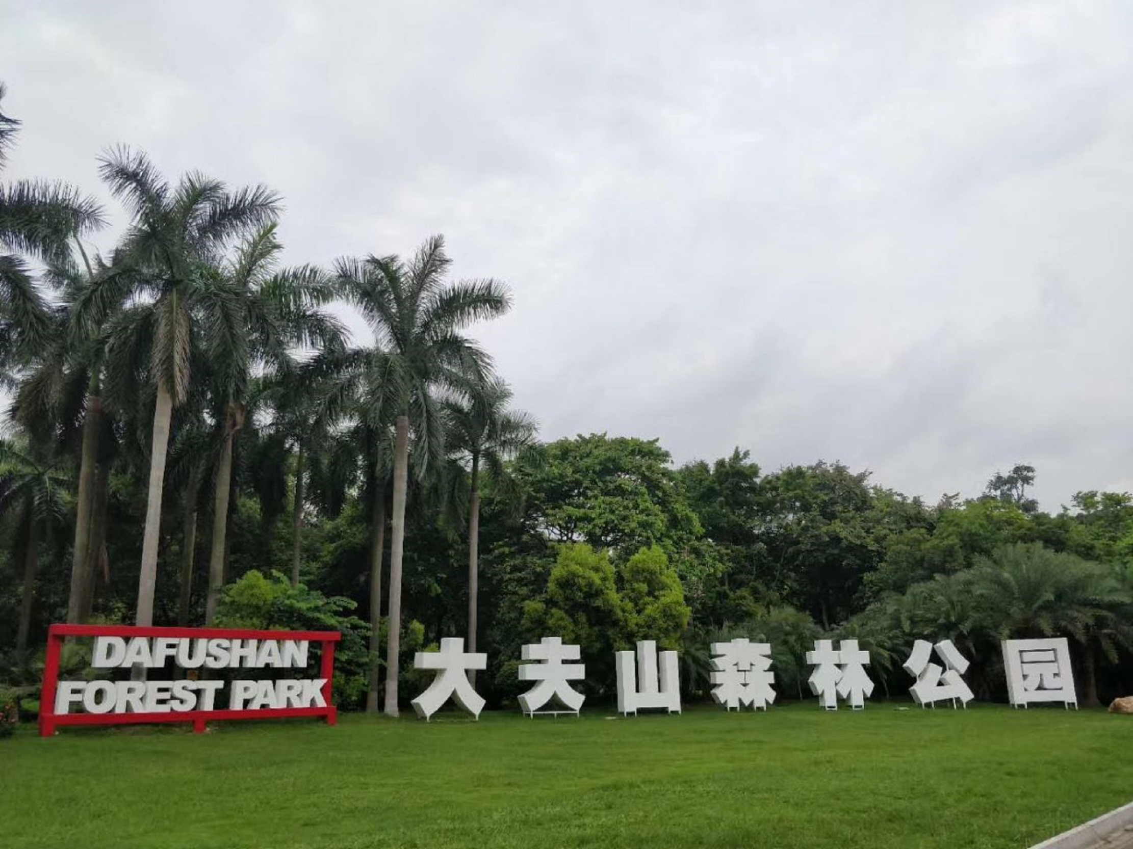 广州大夫山森林公园