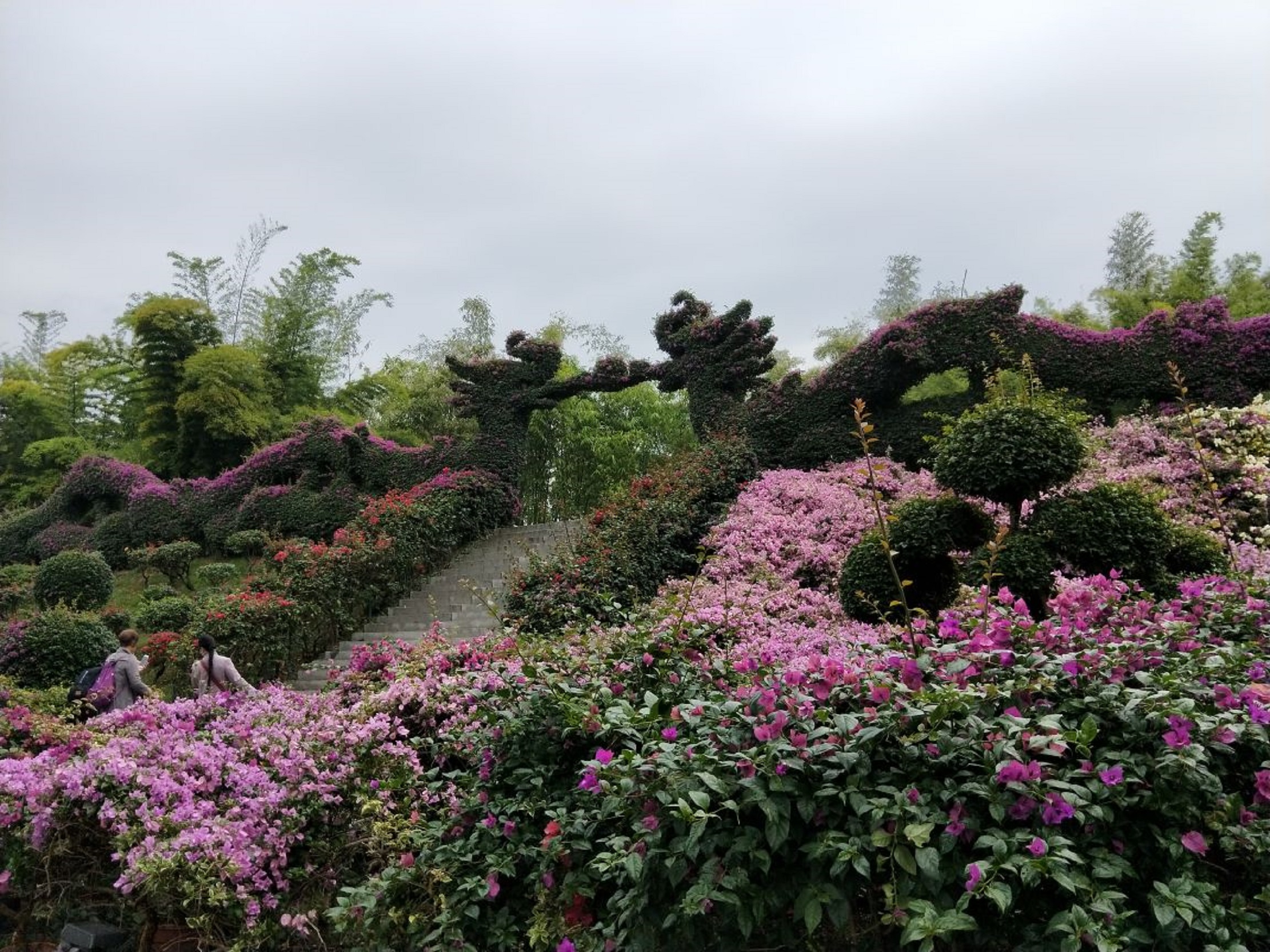 漳州东南花都