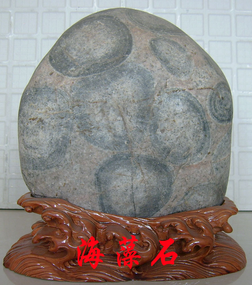  p> span class="ref" data-ctrid="sxvfkkeoh4ml">"海藻",本品为