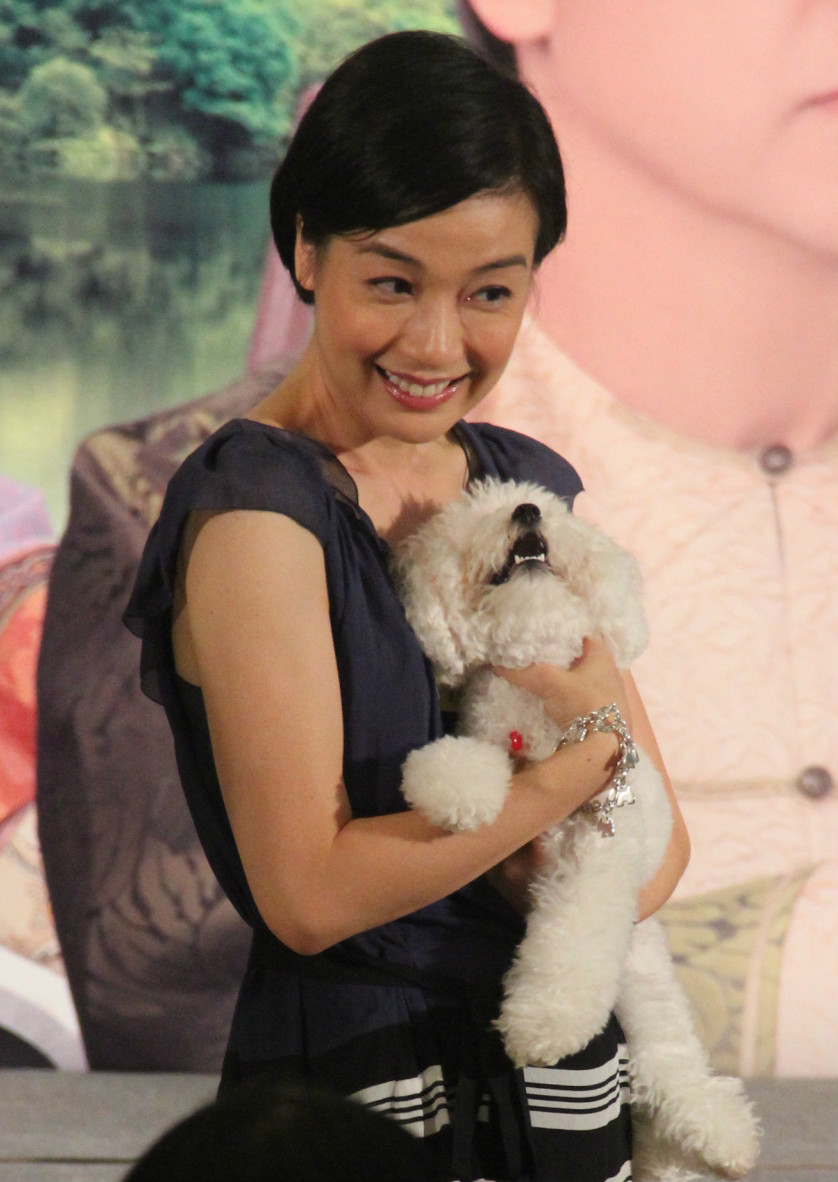 江美仪