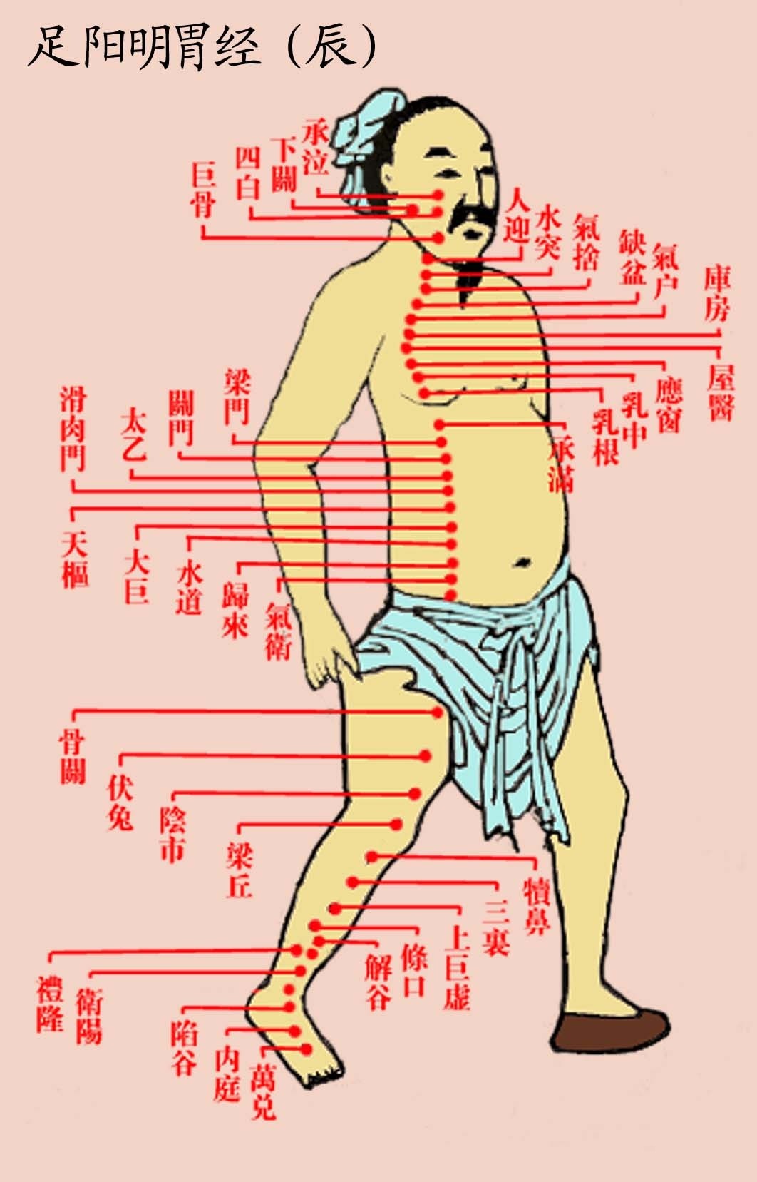 p>中医上说,经络是运行气血,联系 a target="_blank" href="/item