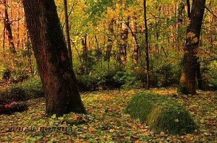 世间最美的坟墓 百度百科