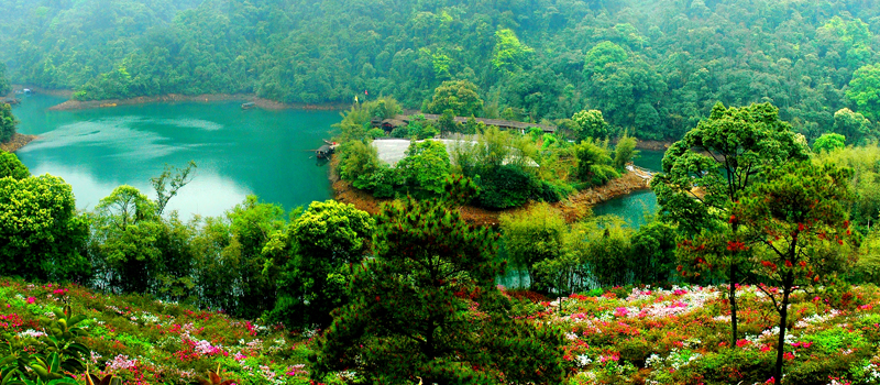 鼎湖山国家级自然保护区