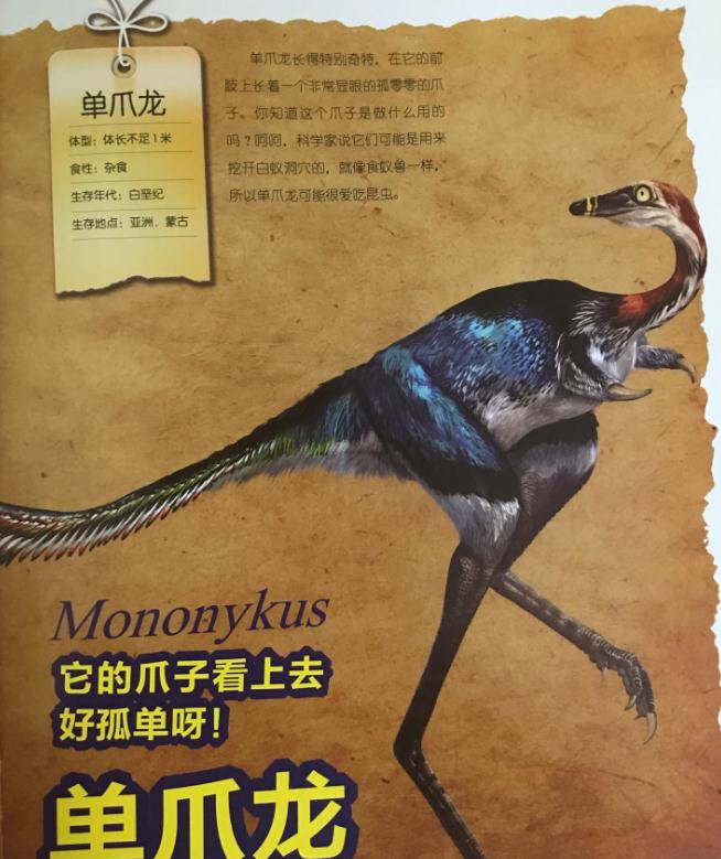  p>单爪龙(学名mononykus)意为"单一的爪",是 a href="#" data-lemma
