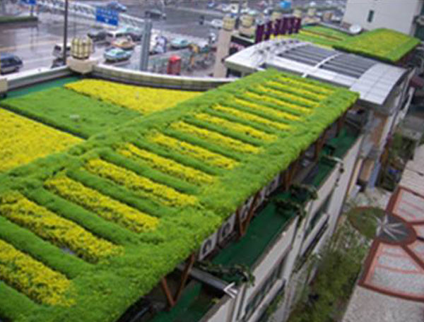 种植屋面