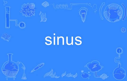 sinus_百度百科