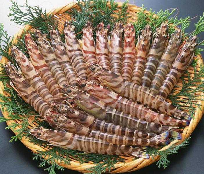  p>九节虾,多见于福建以南地区,尤其是广东人爱吃的海鲜之一.