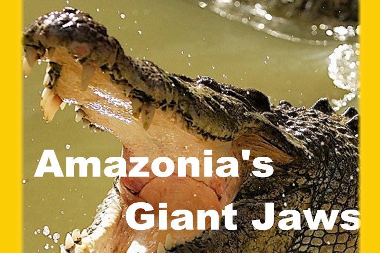  p>《亚马逊巨鳄》是腾讯视频出品的纪录片,共1集. /p>