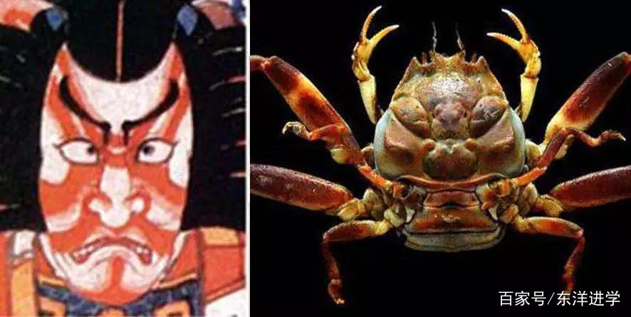 东洋进学研——日本传统鬼怪奇谈_百科TA说