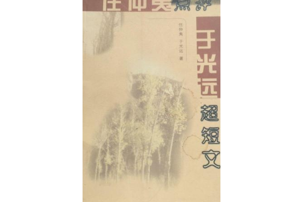 任仲夷评点于光远超短文