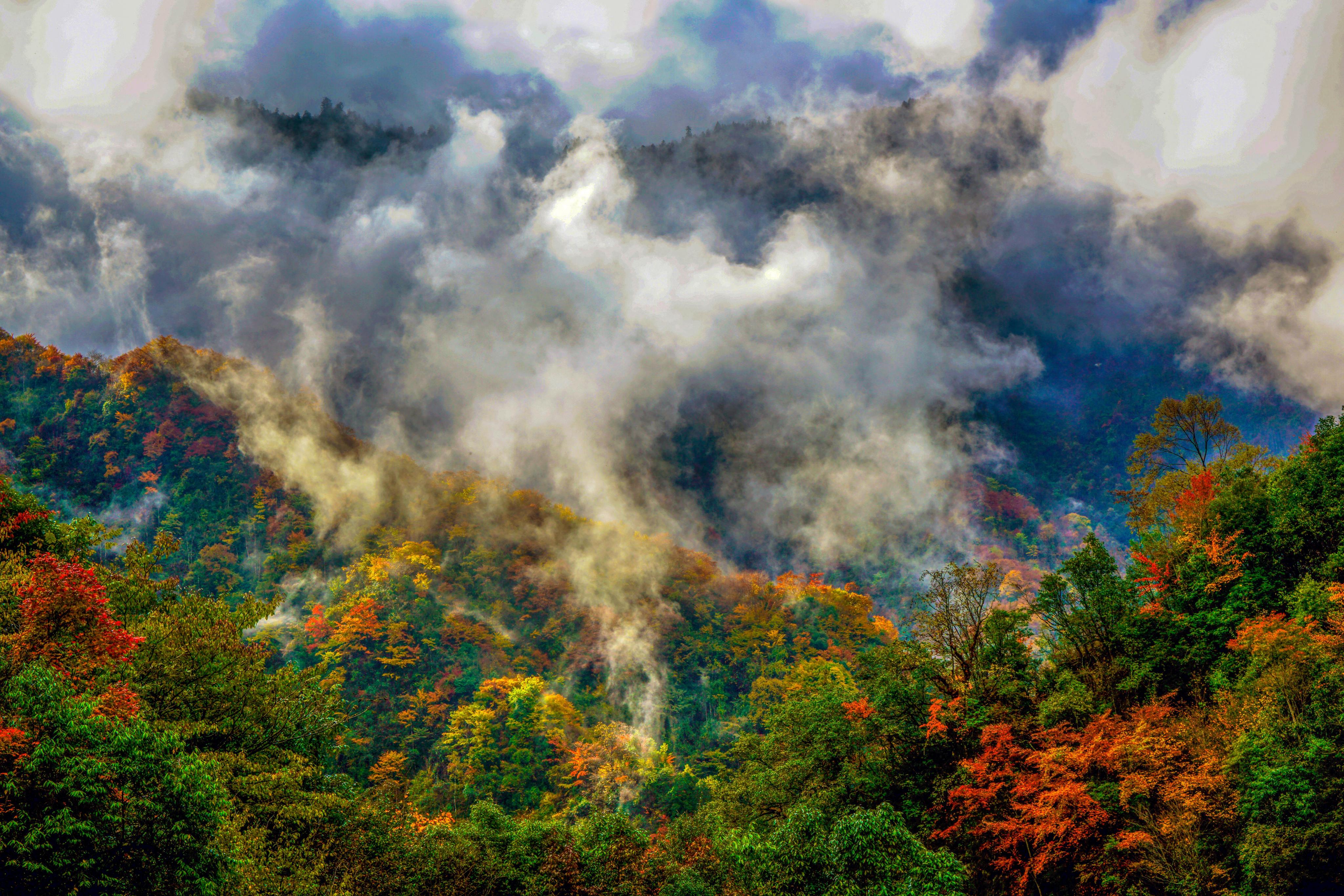 data-lemmaid="15626925">四川省绵阳市平武县一处生物景观