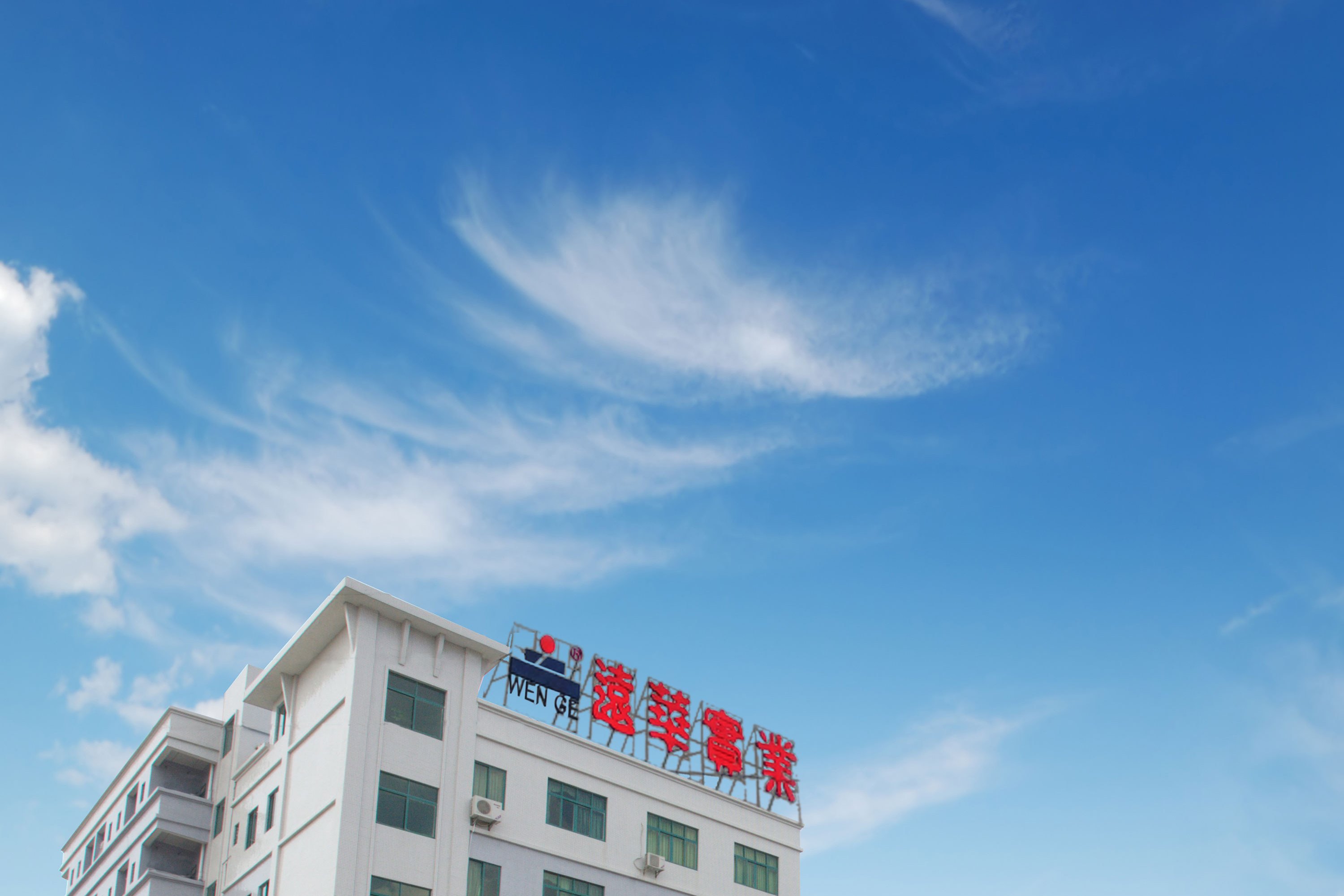 广东远华新材料股份有限公司