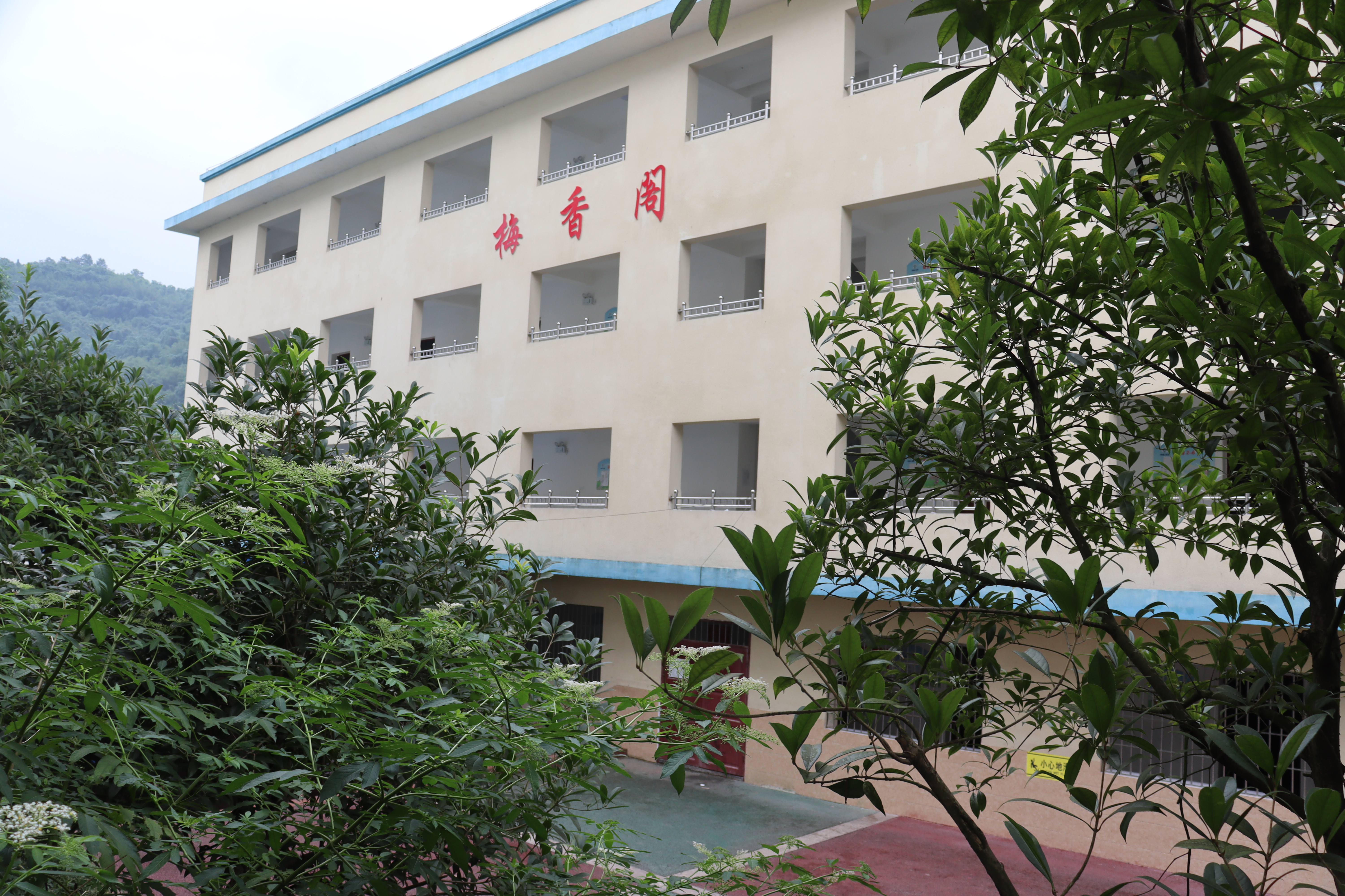 白云学校