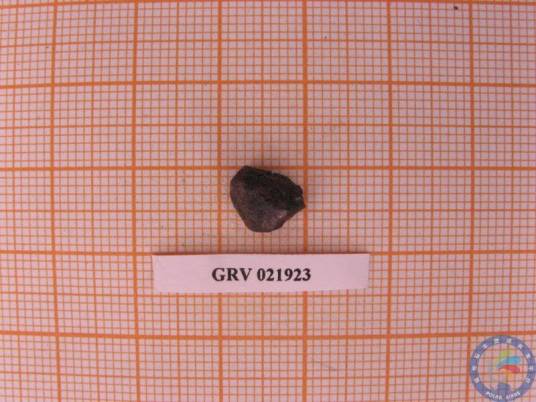 GRV021923_百度百科