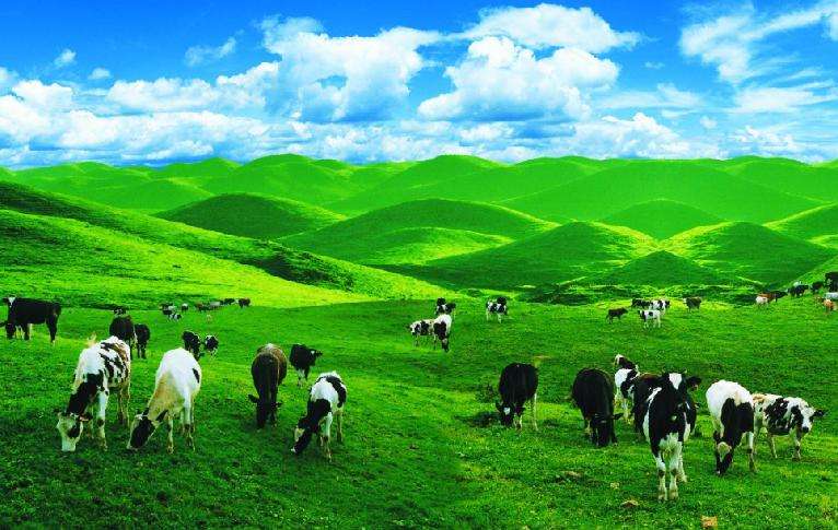 iyz">湖南省南山种畜牧草良种繁殖场(简称南山牧场)位于 /span> span