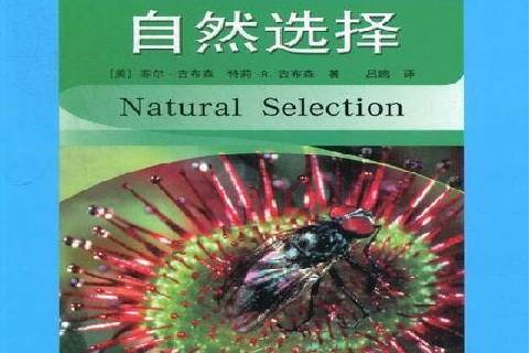 自然选择
