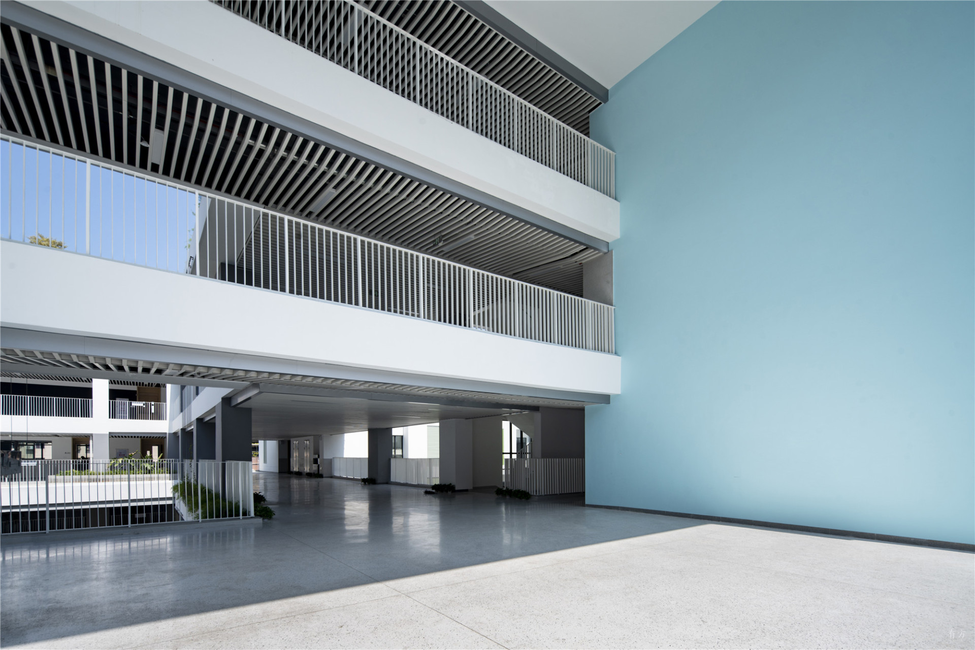 深圳市福田区新洲小学