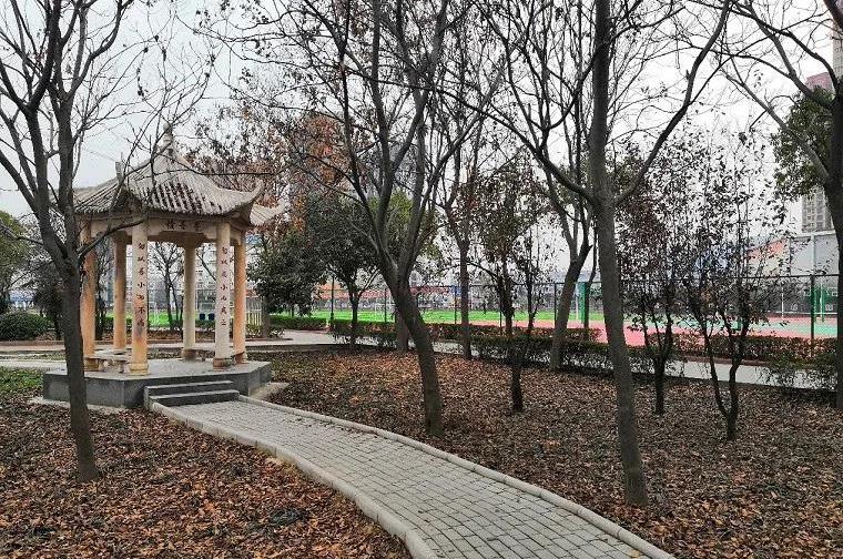 中学,简称" a target="_blank" href="/item/内乡实验初中/12000108"