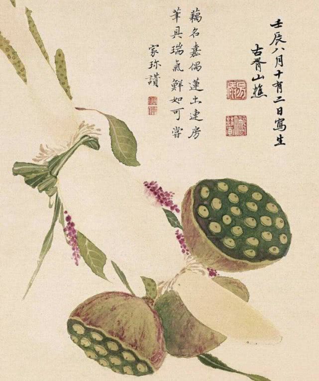 探析中国莲藕文化：美味佳肴之外，它还是中国传统文化的璀璨明珠_百科TA说