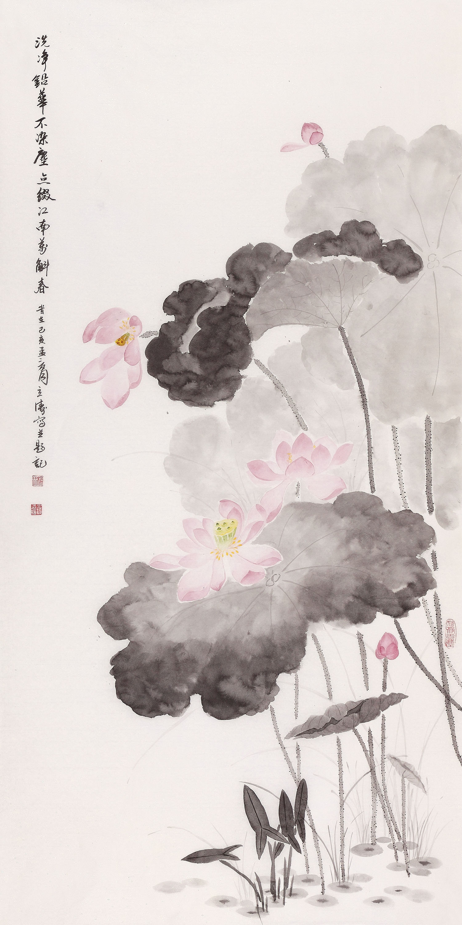 杨立涛