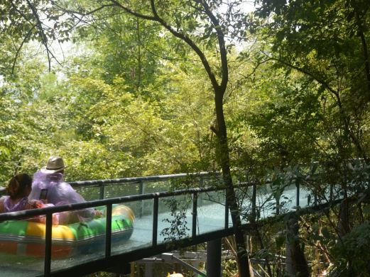 白露山风景区位于浙江省兰溪市黄店镇.