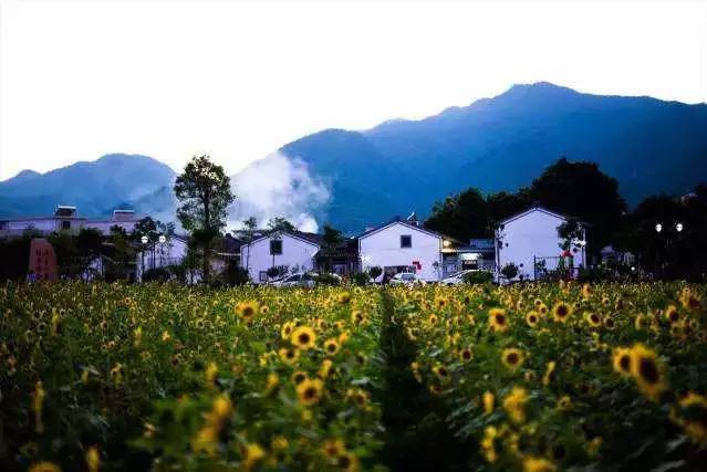 白马村