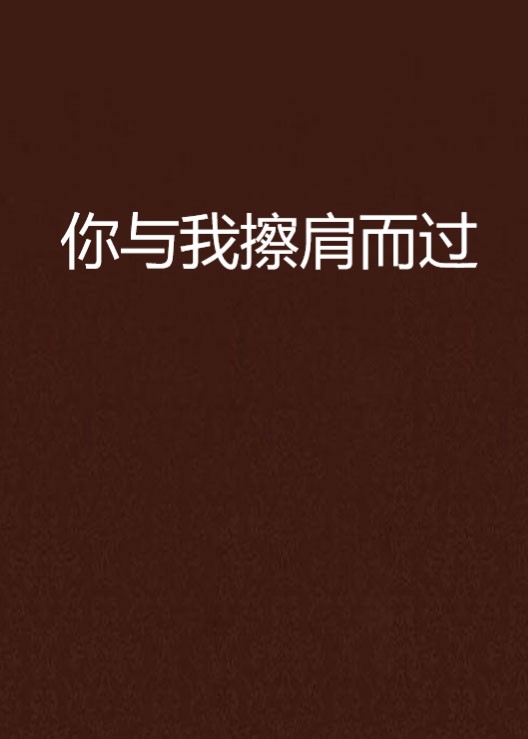 你与我擦肩而过