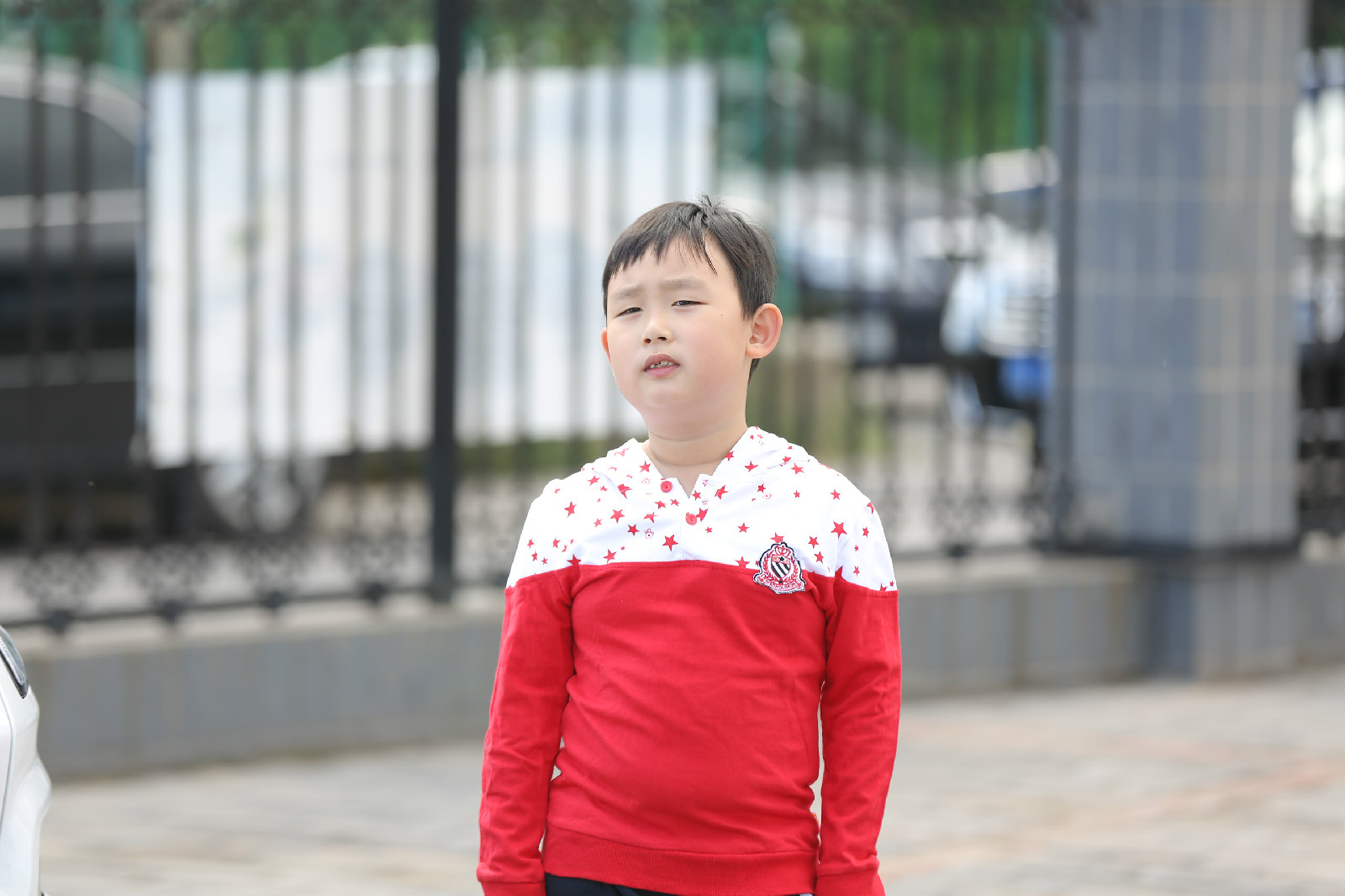 极品女士第四季