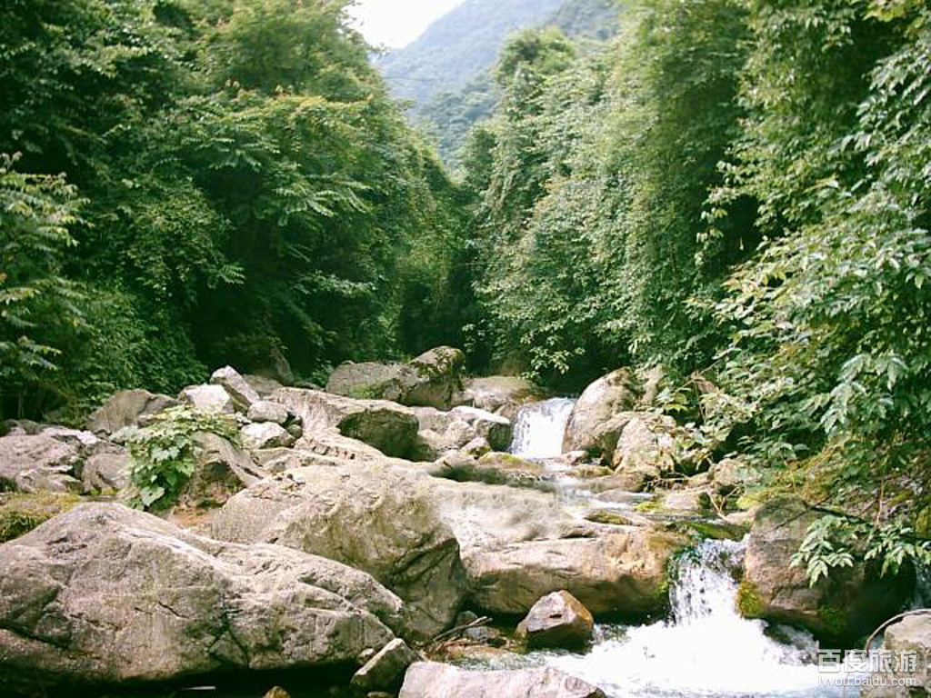 白鹿森林公园
