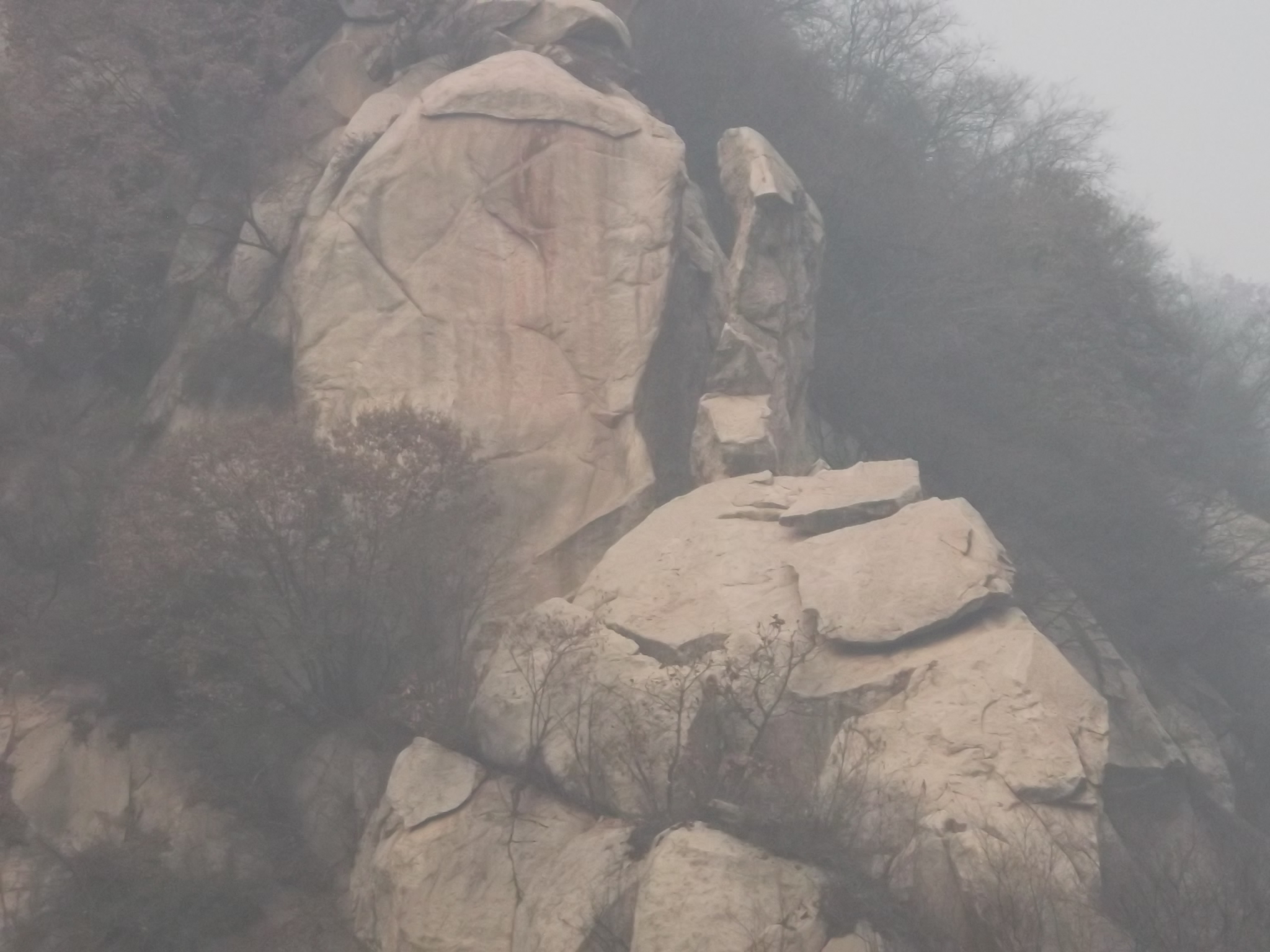  p>对笔石是 b>古 /b> b> a href="#" data-lemmaid="149803">无脊椎