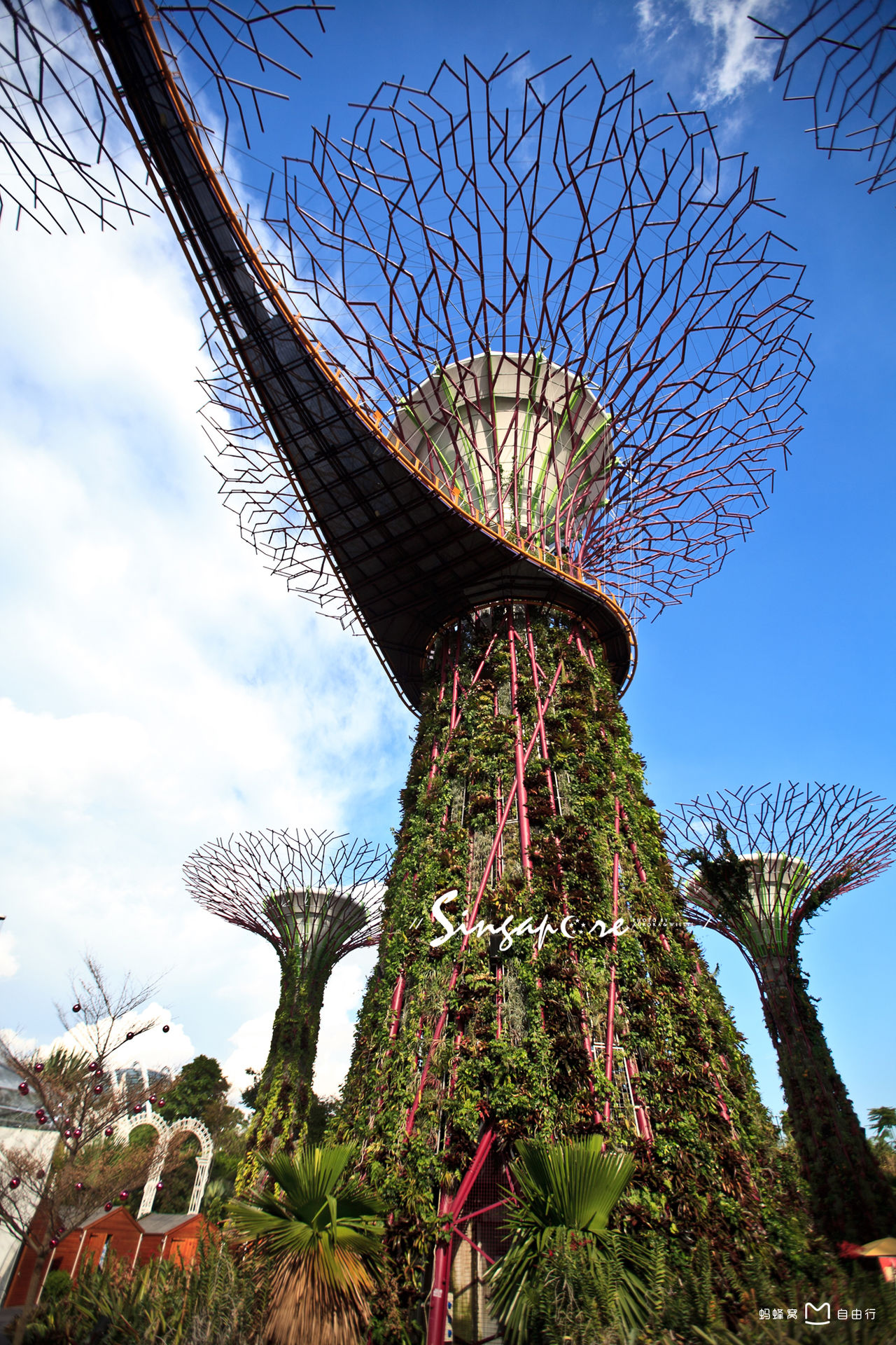 新加坡滨海花园