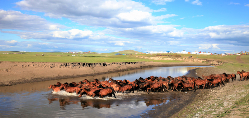  p data-id="gnbky30b92">三河马,中国内蒙古呼伦贝尔市海拉尔区特产