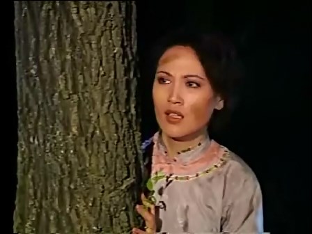  p>《喋血满洲》是由周炜,李瑞清导演,王菁华,李显刚,张志忠,薛中瑞