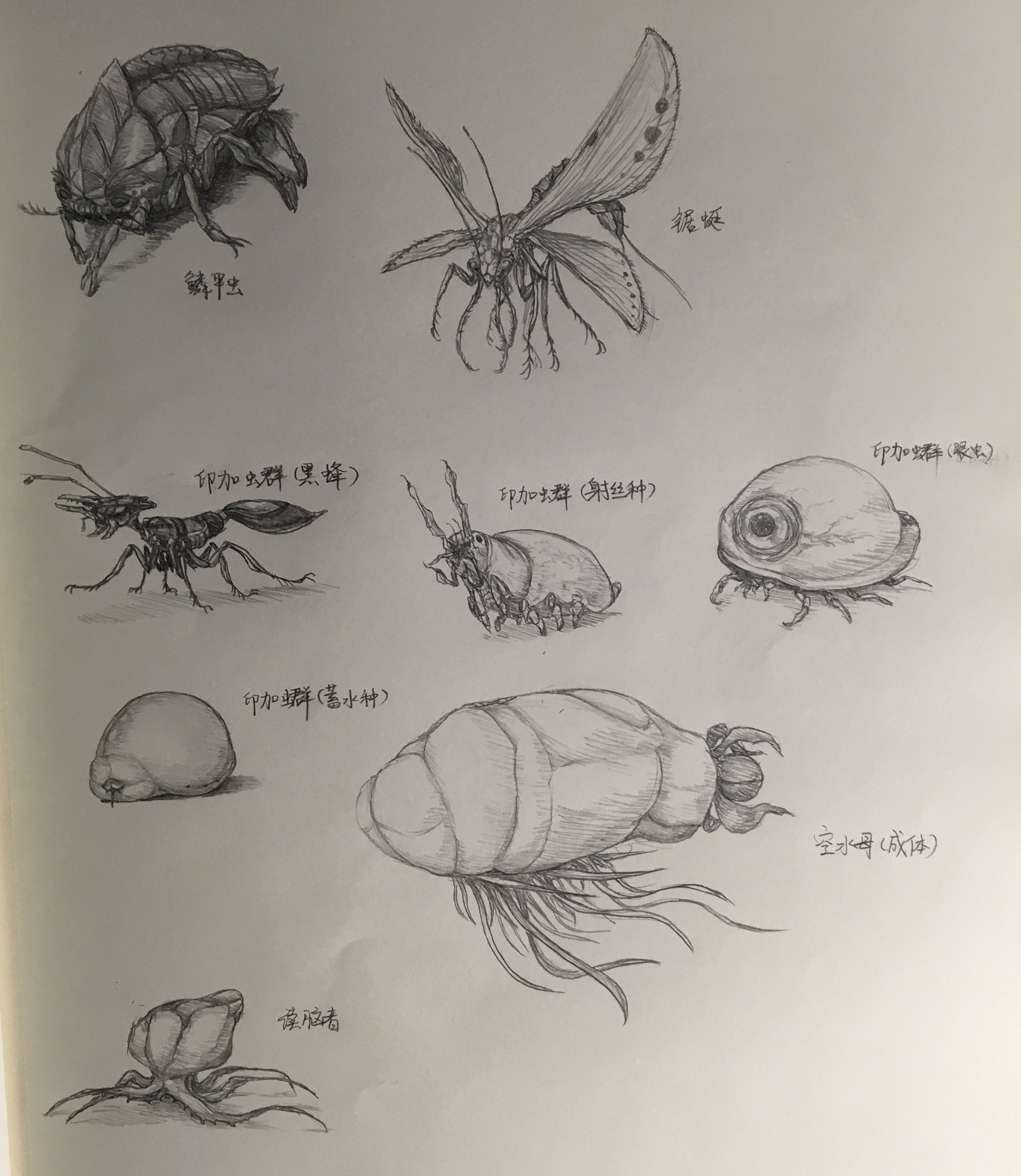 进化的六十四亿重奏